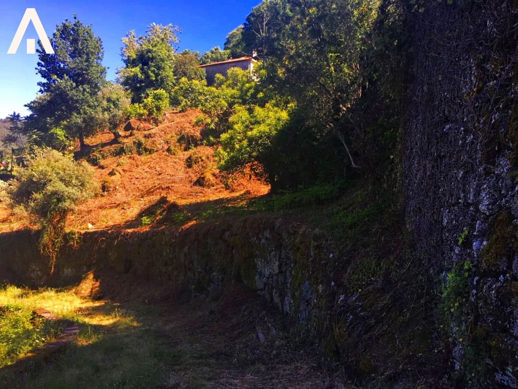 45179578_720092461686709_4709317638747062272_n