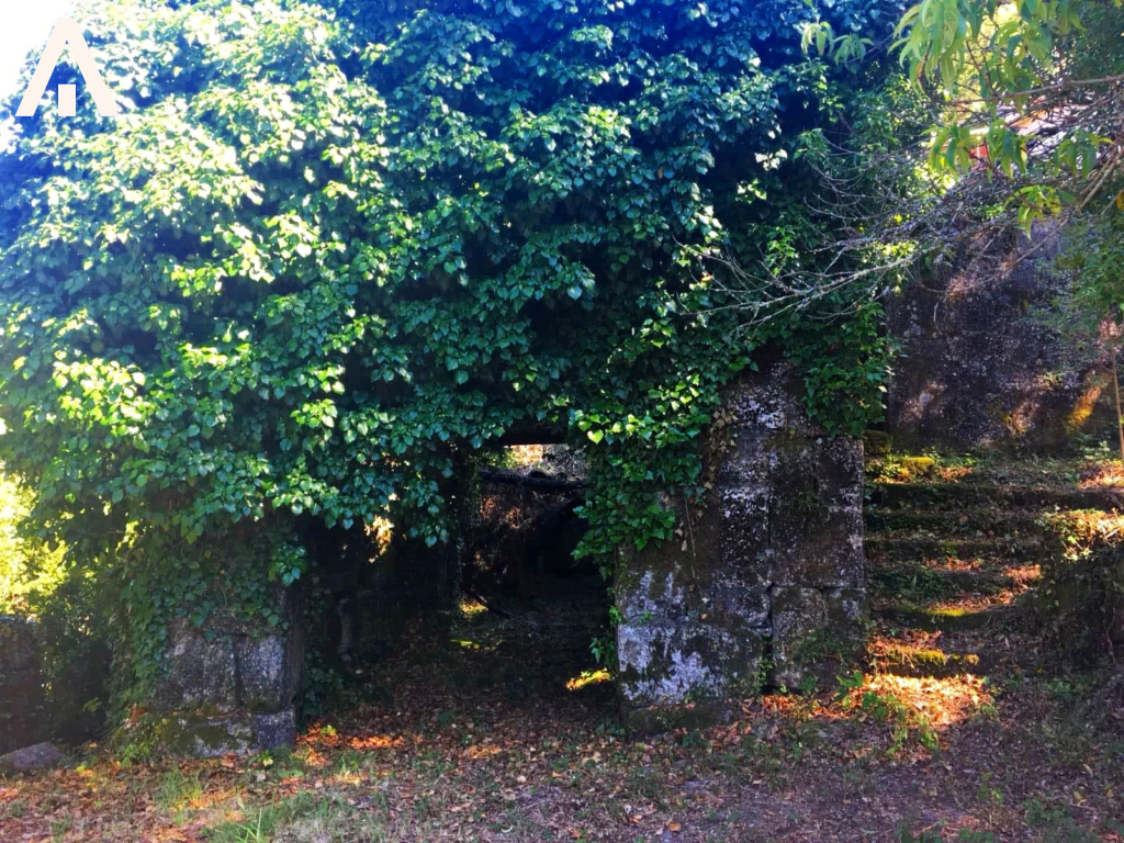 45205611_2226837157594631_2110216783708291072_n