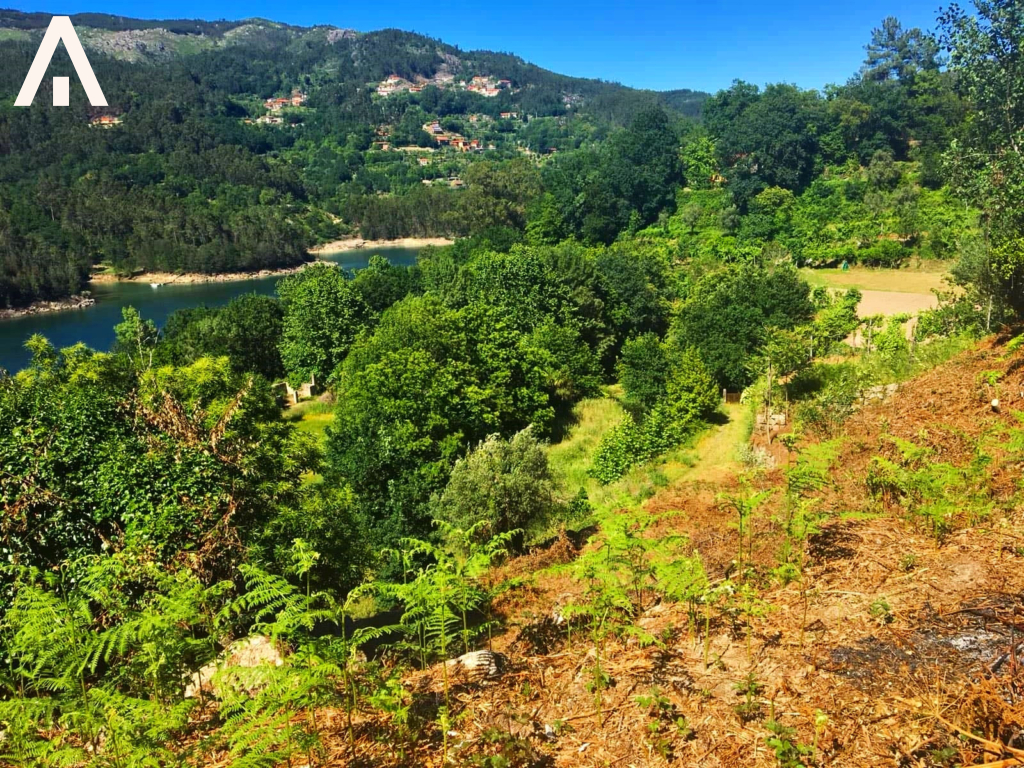 45231161_850162238487558_4759005960775663616_n