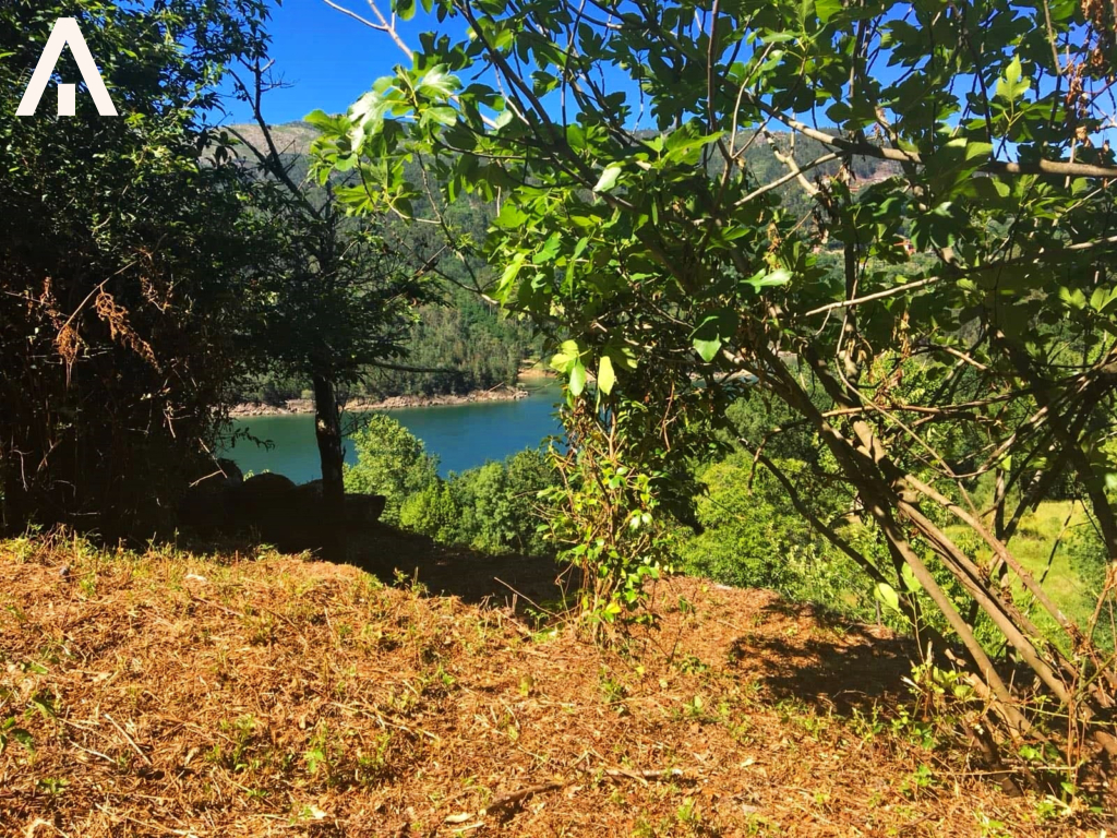 45253373_2308499936044565_4305518175220400128_n