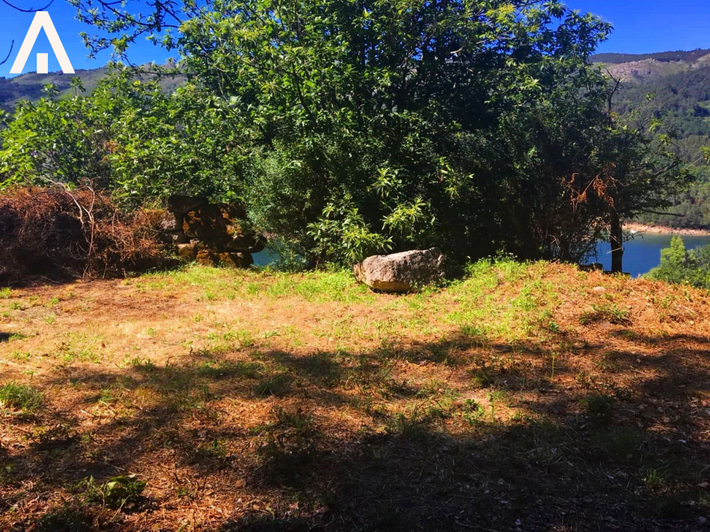 45280084_1393482997460635_9080248032741556224_n