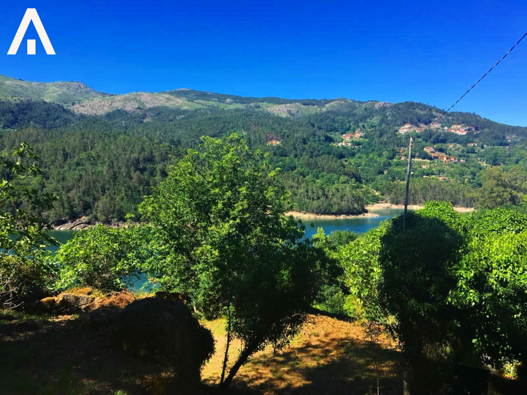 45289499_585115831908366_3295532447785025536_n