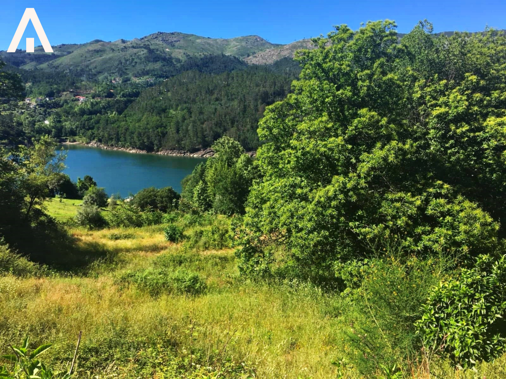 45344558_698657027171884_4441583855849177088_n